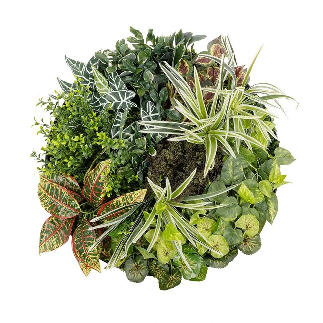 Artificial Garden VARIOUS PLANTS ROUND WALL DISC 20691 Τεχνητό Διακοσμητικό Στρογγυλό Πάνελ Φυλλωσιάς - Κάθετος Κήπος Μιξ Μ60 x Π60 x Υ20cm