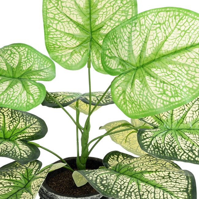Artificial Garden CALADIUM 20889 Τεχνητό Διακοσμητικό Φυτό Τροπικό Φυτό Φ40 x Υ33cm - 3