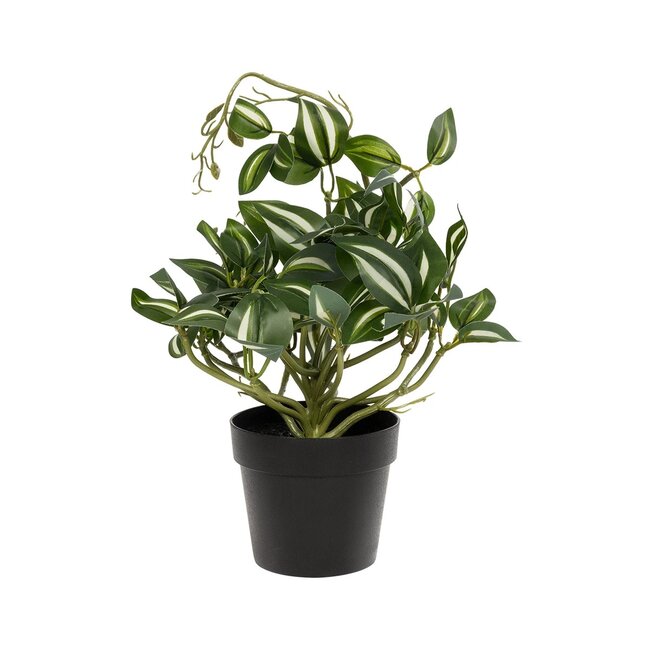 Artificial Garden ZEBRINA PLANT 20960 Διακοσμητικό Φυτό Ζεμπρίνα Φ45 x Υ22cm