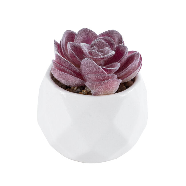 Artificial Garden SUCCULENT ECHEVERIA 21000 Διακοσμητικό Φυτό Παχύφυτο Εχεβέρια Υ7.5cm - 2