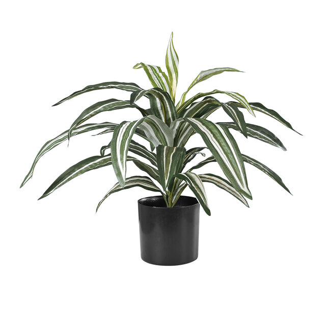Artificial Garden BRAZILIAN IRON 20083 Τεχνητό Διακοσμητικό Φυτό Αρωματική Δράκαινα Υ30cm