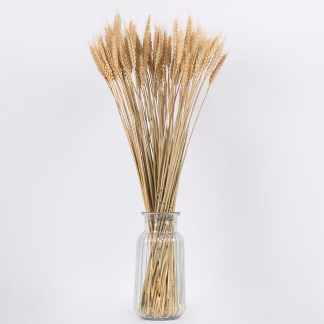 BARLEY 36551 Αποξηραμένο Φυτό Κριθάρι - Μπουκέτο Διακοσμητικών Κλαδιών Μπεζ Υ60cm