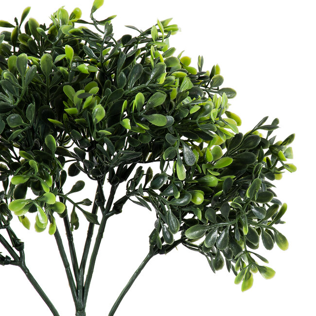 Artificial Garden BUXUS 20387 Τεχνητό Διακοσμητικό Φυτό Πυξός Υ30cm Artificial Garden BUXUS 20387 Τεχνητό Διακοσμητικό Φυτό Πυξός Υ30cm