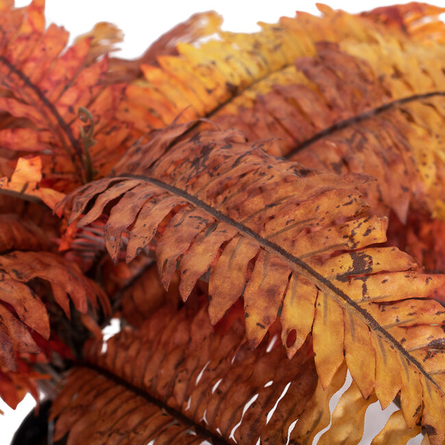 Artificial Garden BLOODY FERN 20057 Τεχνητό Διακοσμητικό Φυτό Αιματόφυλλη Φτέρη Υ40cm