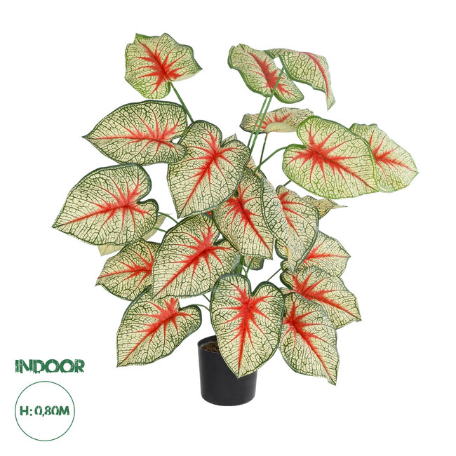 Artificial Garden CALADIUM 20921 Διακοσμητικό Φυτό Καλάντιουμ Υ80cm