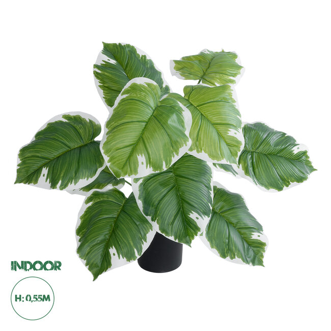 Artificial Garden WHITE HOSTA 20931 Διακοσμητικό Φυτό Λευκή Χόστα Υ55cm Artificial Garden WHITE HOSTA 20931 Διακοσμητικό Φυτό Λευκή Χόστα Υ55cm