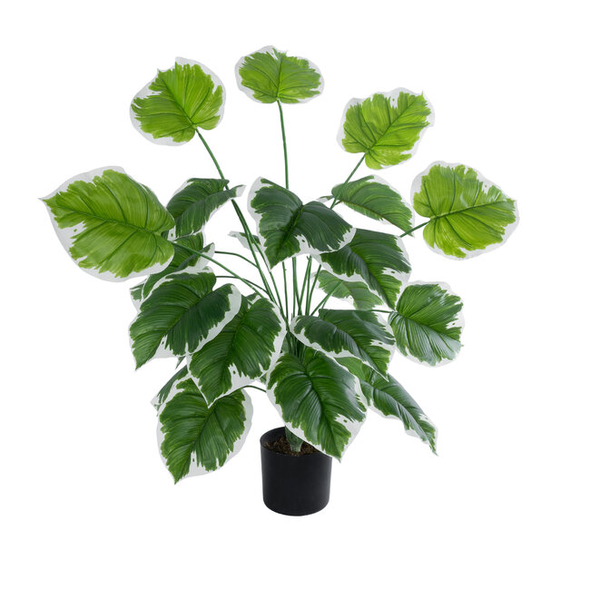Artificial Garden WHITE HOSTA 20920 Διακοσμητικό Φυτό Λευκή Χόστα Υ80cm Artificial Garden WHITE HOSTA 20920 Διακοσμητικό Φυτό Λευκή Χόστα Υ80cm
