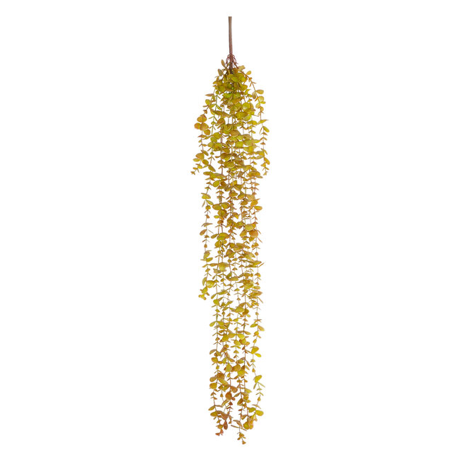 Artificial Garden HANGING EUCALYPTUS 20808 Τεχνητό Διακοσμητικό Κρεμαστό Φυτό Ευκάλυπτος Μ16 x Π9 x Υ105cm Artificial Garden HANGING EUCALYPTUS 20808 Τεχνητό Διακοσμητικό Κρεμαστό Φυτό Ευκάλυπτος Μ16 x Π9 x Υ105cm