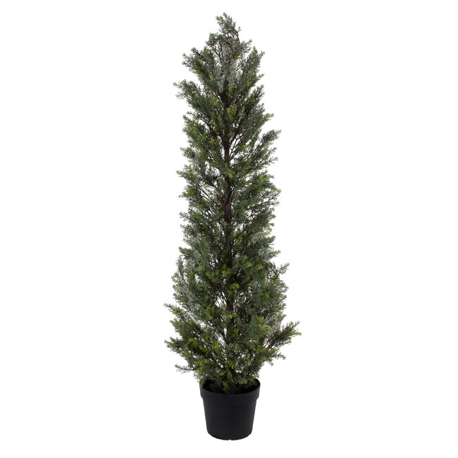 Artificial Garden LEMON CYPRESS 20153 Τεχνητό Διακοσμητικό Φυτό Λεμονόκυπάρισσο Υ180cm Artificial Garden LEMON CYPRESS 20153 Τεχνητό Διακοσμητικό Φυτό Λεμονόκυπάρισσο Υ180cm