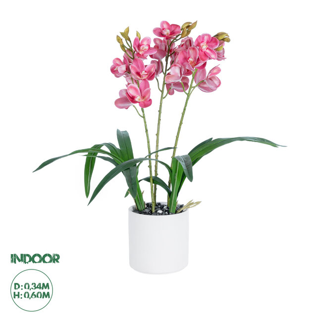 Artificial Garden PINK CHERRY CYMBIDIUM 21402 Διακοσμητικό Φυτό Φούξια Κυμβίδιο Υ60cm Artificial Garden PINK CHERRY CYMBIDIUM 21402 Διακοσμητικό Φυτό Φούξια Κυμβίδιο Υ60cm