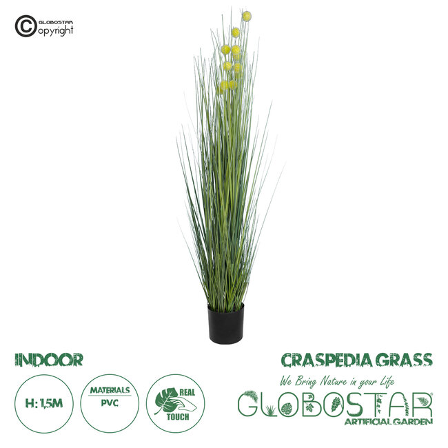 Artificial Garden CRASPEDIA GRASS 20112 Τεχνητό Διακοσμητικό Φυτό Κρασπέδια Υ150cm Artificial Garden CRASPEDIA GRASS 20112 Τεχνητό Διακοσμητικό Φυτό Κρασπέδια Υ150cm
