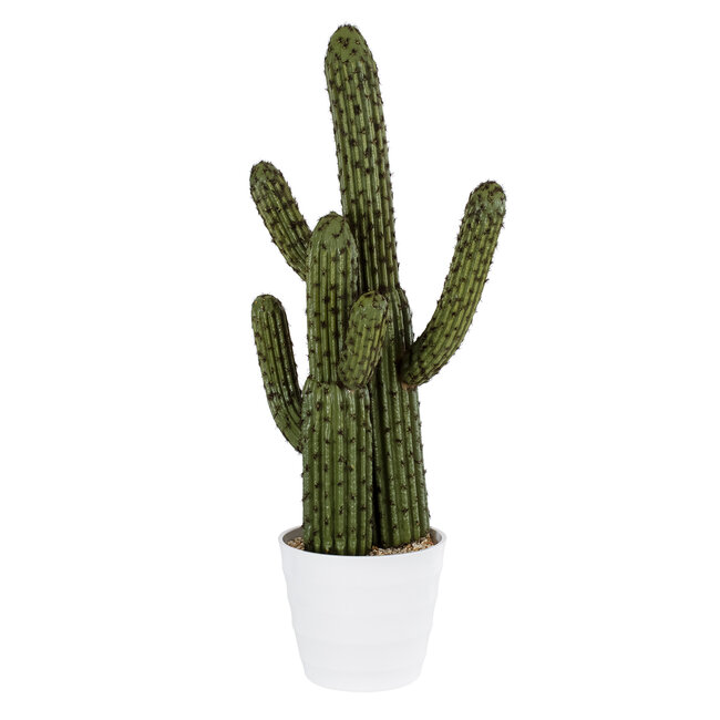 Artificial Garden CARNEGIEA CACTUS 20100 Τεχνητό Διακοσμητικό Φυτό Κάκτος Σαγκουάρο Υ63cm - 2