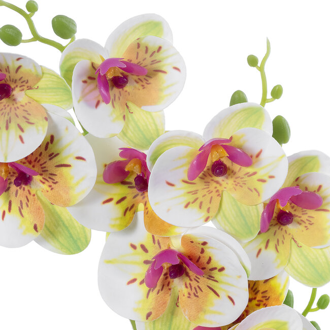 Artificial Garden WHITE - FUCHSIA ORCHID 21078 Διακοσμητικό Φυτό Λευκή - Φούξια Ορχιδέα Υ45cm Artificial Garden WHITE - FUCHSIA ORCHID 21078 Διακοσμητικό Φυτό Λευκή - Φούξια Ορχιδέα Υ45cm