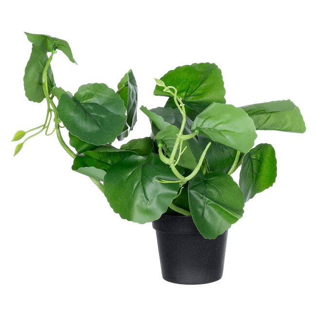 Artificial Garden BELL PLANT 20957 Διακοσμητικό Φυτό Σεφλέρα Φ47 x Υ22cm Artificial Garden BELL PLANT 20957 Διακοσμητικό Φυτό Σεφλέρα Φ47 x Υ22cm
