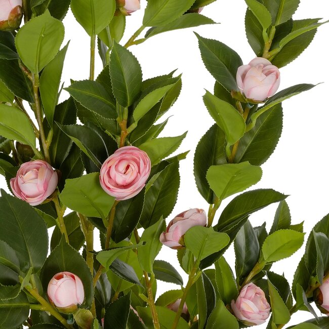 Artificial Garden CAMELIA 21115 Τεχνητό Διακοσμητικό Δέντρο Καμέλια Μ50 x Π30 x Υ90cm Artificial Garden CAMELIA 21115 Τεχνητό Διακοσμητικό Δέντρο Καμέλια Μ50 x Π30 x Υ90cm