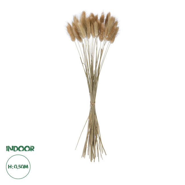 Artificial Garden REAL DRIED BEIGE WHEAT BUNCH  21219 Αποξηραμένο Διακοσμητικό Μπουκέτο Σιταριού Y50cm