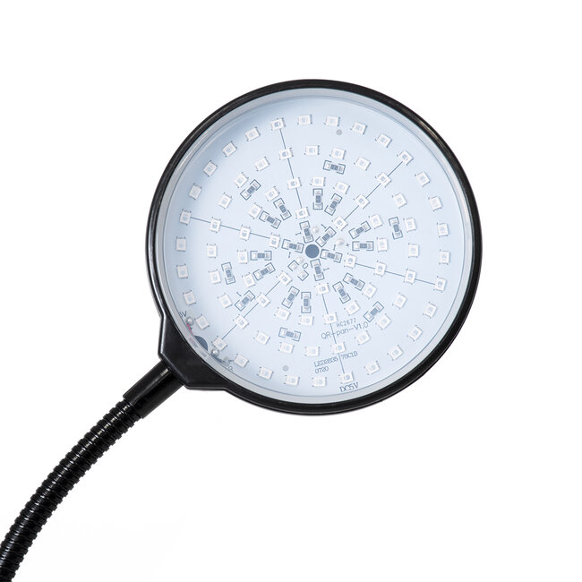 79648 Grow Light Full Spectrum LED Φωτιστικό Ανάπτυξης Φυτών Γλάστρας με 1 Κινούμενη Κεφαλή & Βάση Clip SMD 2835 5W 160° DC 5V IP20 με Dimmer & Timer Εσωτερικού Χώρου για Κάλυψη Επιφάνειας 0.6m x 0.6m Πλήρους Φάσματος Φωτισμού - 7