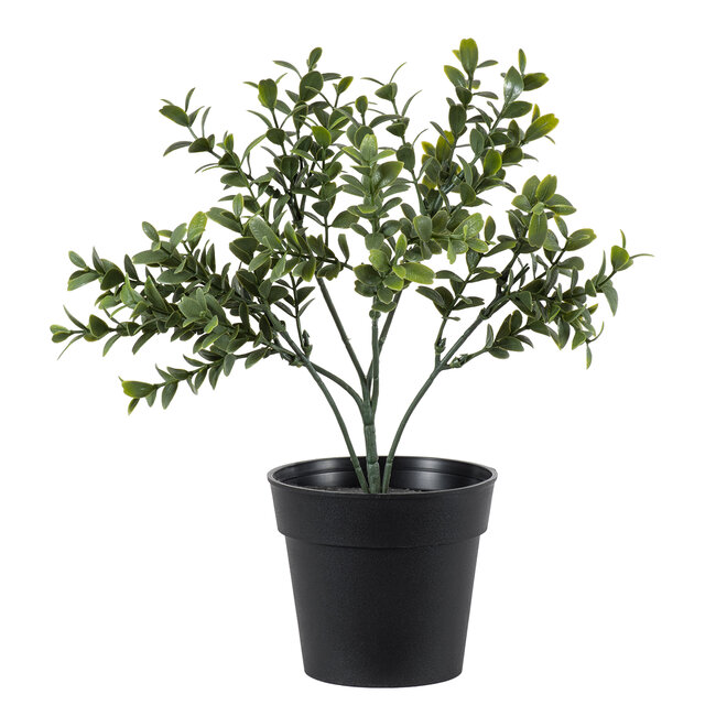 Artificial Garden BUXUS 20388 Τεχνητό Διακοσμητικό Φυτό Πυξός Υ30cm Artificial Garden BUXUS 20388 Τεχνητό Διακοσμητικό Φυτό Πυξός Υ30cm