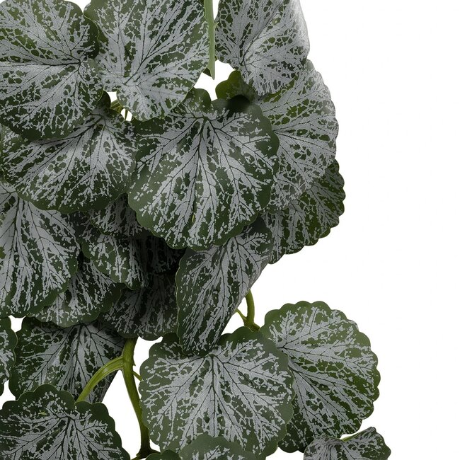 Artificial Garden BEGONIA 20611 Τεχνητό Κρεμαστό Διακοσμητικό Φυτό Βιγόνια Μ30 x Π15 x Y45cm Artificial Garden BEGONIA 20611 Τεχνητό Κρεμαστό Διακοσμητικό Φυτό Βιγόνια Μ30 x Π15 x Y45cm