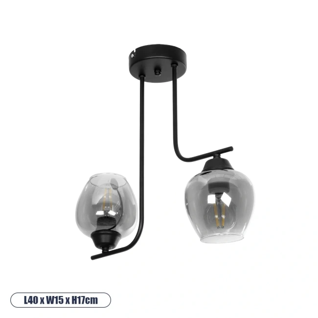 GLOSSA 201-0091 Vintage Φωτιστικό Οροφής με Ντουί 2 x E27 AC 220-240V IP20 - Μαύρο & Μαύρο Φιμέ - Μ40 x Π15 x Υ17cm GLOSSA 201-0091 Vintage Φωτιστικό Οροφής με Ντουί 2 x E27 AC 220-240V IP20 - Μαύρο & Μαύρο Φιμέ - Μ40 x Π15 x Υ17cm
