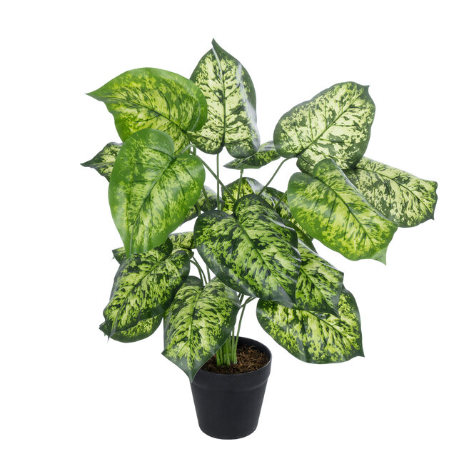 Artificial Garden DIEFFENBACHIA 20914 Διακοσμητικό Φυτό Υ75cm