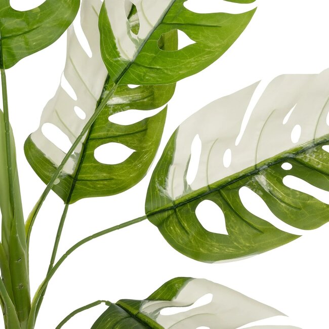 Artificial Garden ALBINO MONSTERA 20938 Τεχνητό Διακοσμητικό Φυτό Πράσινη & Λευκή Μονστέρα Μ90 x Π90 x Υ90cm Artificial Garden ALBINO MONSTERA 20938 Τεχνητό Διακοσμητικό Φυτό Πράσινη & Λευκή Μονστέρα Μ90 x Π90 x Υ90cm