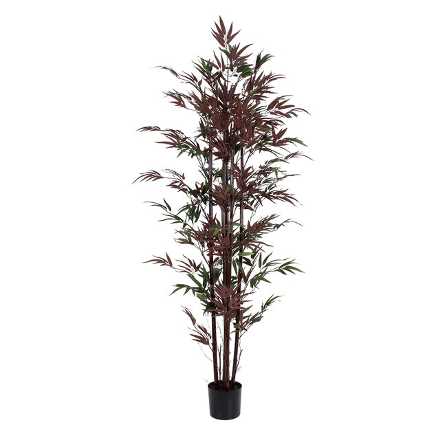 Artificial Garden BLOODLEAF BAMBOO 20039 Τεχνητό Διακοσμητικό Φυτό Αιματόφυλλο Μπαμπού Υ170cm Artificial Garden BLOODLEAF BAMBOO 20039 Τεχνητό Διακοσμητικό Φυτό Αιματόφυλλο Μπαμπού Υ170cm