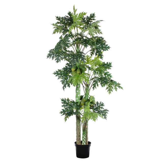 Artificial Garden PAPAYA TREE 20383 Τεχνητό Διακοσμητικό Φυτό  Παπάγια Υ270cm