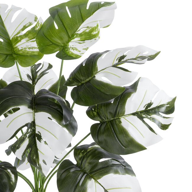 Artificial Garden ALBINO MONSTERA 20935 Διακοσμητικό Φυτό Λευκή Μονστέρα Υ55cm