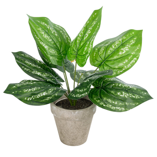 Artificial Garden SILVER POTHOS POTTED PLANT 20896 Διακοσμητικό Φυτό Πόθος Φ40 x Υ33cm Artificial Garden SILVER POTHOS POTTED PLANT 20896 Διακοσμητικό Φυτό Πόθος Φ40 x Υ33cm