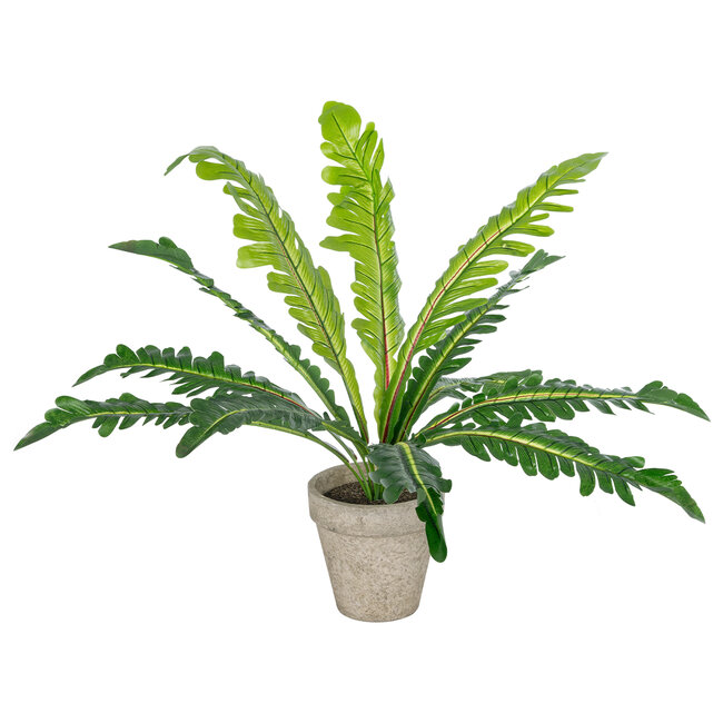 Artificial Garden ASPLENIUM POTTED PLANT 20904 Διακοσμητικό Φυτό Aslenium Φ40 x Υ33cm Artificial Garden ASPLENIUM POTTED PLANT 20904 Διακοσμητικό Φυτό Aslenium Φ40 x Υ33cm