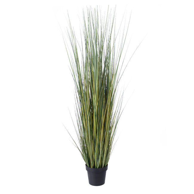 Artificial Garden PAMPAS GRASS 20072 Τεχνητό Διακοσμητικό Φυτό Γρασίδι της Πάμπας Υ170cm Artificial Garden PAMPAS GRASS 20072 Τεχνητό Διακοσμητικό Φυτό Γρασίδι της Πάμπας Υ170cm