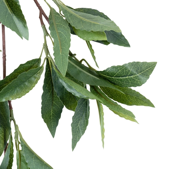 Artificial Garden LAURUS NOBILIS BRANCH 20225 10 x Τεχνητά Διακοσμητικά Κλαδία Δάφνης Π45 x Υ60cm - 4