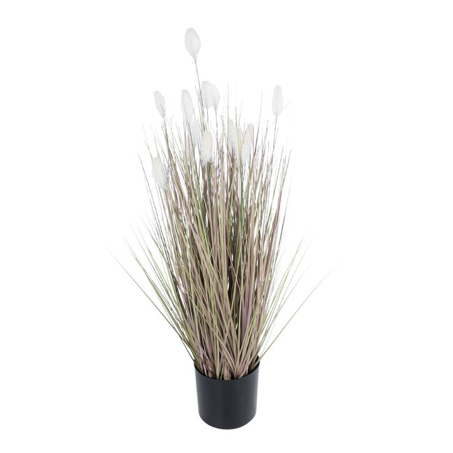 Artificial Garden BEIGE LAGURU 21100 Διακοσμητικό Φυτό Μπεζ Λαγοουρά Υ70cm Artificial Garden BEIGE LAGURU 21100 Διακοσμητικό Φυτό Μπεζ Λαγοουρά Υ70cm