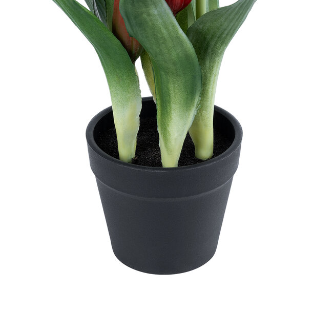 Artificial Garden RED TULIP 21094 Διακοσμητικό Φυτό Κόκκινη Τουλίπα Υ23cm - 4