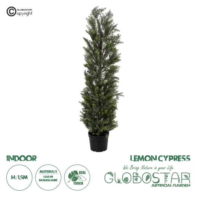 Artificial Garden LEMON CYPRESS 20152 Τεχνητό Διακοσμητικό Φυτό Λεμονόκυπάρισσο Υ150cm