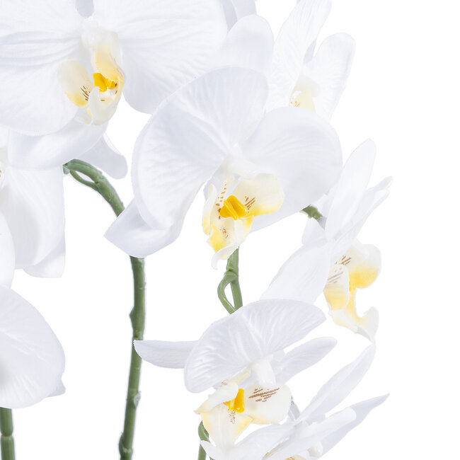 Artificial Garden WHITE ORCHID 21117 Διακοσμητικό Φυτό Λευκή Ορχιδέα Υ45cm Artificial Garden WHITE ORCHID 21117 Διακοσμητικό Φυτό Λευκή Ορχιδέα Υ45cm
