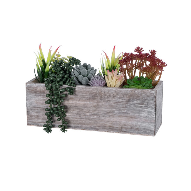 Artificial Garden SUCCULENT VARIUS PLANT POTTED 21033 Διακοσμητικό Φυτό Μίξ Μ29 x Π10 x Υ18cm Artificial Garden SUCCULENT VARIUS PLANT POTTED 21033 Διακοσμητικό Φυτό Μίξ Μ29 x Π10 x Υ18cm