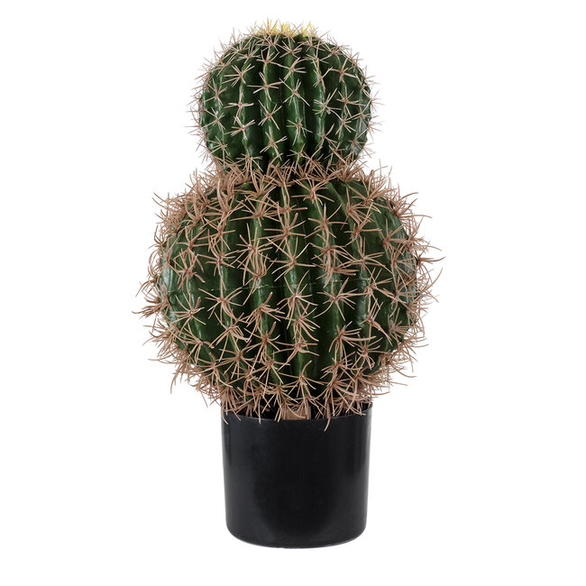 Artificial Garden FEROCACTUS 20136 Τεχνητό Διακοσμητικό Φυτό Φερόκακτος Υ55cm Artificial Garden FEROCACTUS 20136 Τεχνητό Διακοσμητικό Φυτό Φερόκακτος Υ55cm