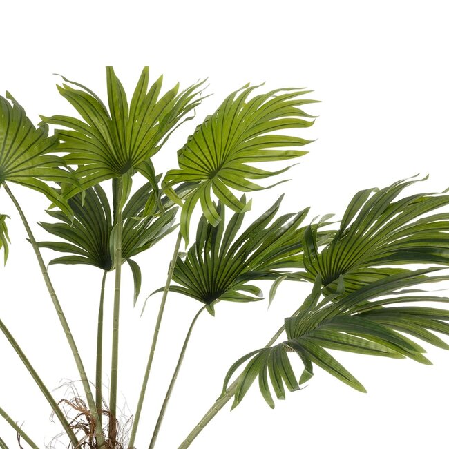 Artificial Garden WASHINGTONIA FILIFERA TREE 21107 Τεχνητό Διακοσμητικό Φοινικόδεντρου Υ200cm - 2