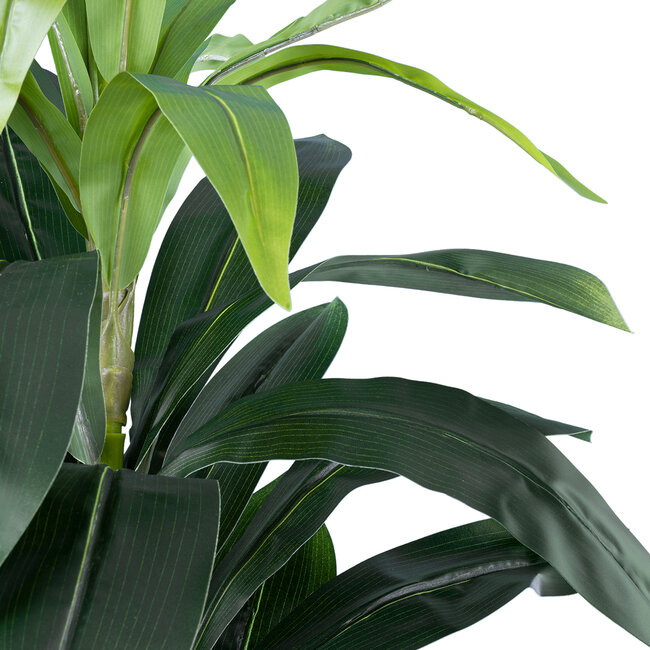 Artificial Garden DRACAENA SILK 20042 Τεχνητό Διακοσμητικό Φυτό Δράκαινα Υ90cm - 3