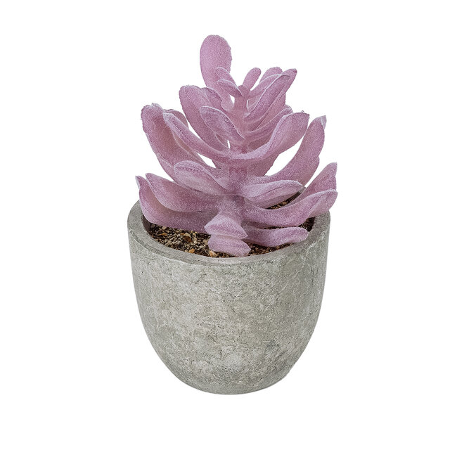 Artificial Garden SUCCULENT CRASSULA POTTED PLANT 21029 Διακοσμητικό Φυτό Κρασούλα Φ7 x Υ10,5cm Artificial Garden SUCCULENT CRASSULA POTTED PLANT 21029 Διακοσμητικό Φυτό Κρασούλα Φ7 x Υ10,5cm