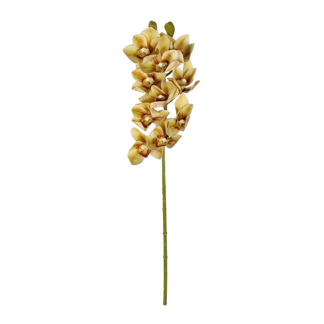 Artificial Garden CHAMPAGNE CYMBIDIUM BRANCH 21408 Τεχνητό Διακοσμητικό Κλαδί Σαμπανί Κυμβίδιο  Y75cm