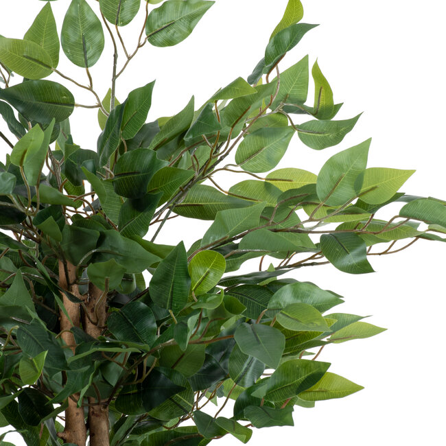 Artificial Garden FICUS BENJAMINA TREE 20415 Τεχνητό Διακοσμητικό Φυτό Φίκος Μπενζαμίνη Υ120cm - 3