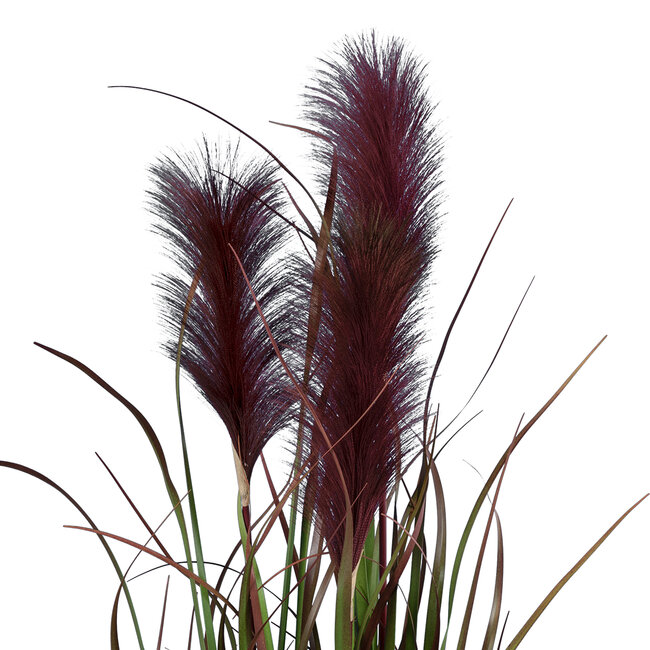 Artificial Garden BLOODY PAMPAS GRASS 20110 Τεχνητό Διακοσμητικό Φυτό Αιματόφυλλο Γρασίδι της Πάμπας Υ150cm Artificial Garden BLOODY PAMPAS GRASS 20110 Τεχνητό Διακοσμητικό Φυτό Αιματόφυλλο Γρασίδι της Πάμπας Υ150cm