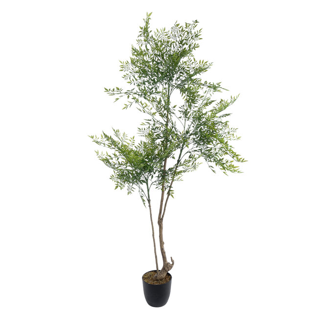 Artificial Garden GREEN NANDINA PLANT 20965 Διακοσμητικό Φυτό Πράσινη Ναντίνα Φ66 x Υ150cm - 2