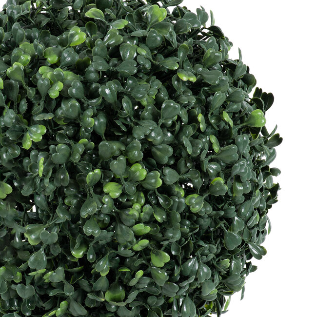 Artificial Garden BUXUS 20405 Τεχνητό Διακοσμητικό Φυτό Πυξός Υ60cm Artificial Garden BUXUS 20405 Τεχνητό Διακοσμητικό Φυτό Πυξός Υ60cm