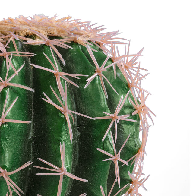 Artificial Garden FEROCACTUS 20092 Τεχνητό Διακοσμητικό Φυτό Φερόκακτος Υ26cm Artificial Garden FEROCACTUS 20092 Τεχνητό Διακοσμητικό Φυτό Φερόκακτος Υ26cm