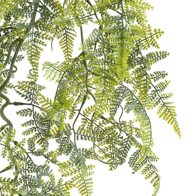 Artificial Garden FERN HANGING BRANCH 20410 Τεχνητό Διακοσμητικό Κρεμαστό Φυτό Φτέρη Υ89cm Artificial Garden FERN HANGING BRANCH 20410 Τεχνητό Διακοσμητικό Κρεμαστό Φυτό Φτέρη Υ89cm