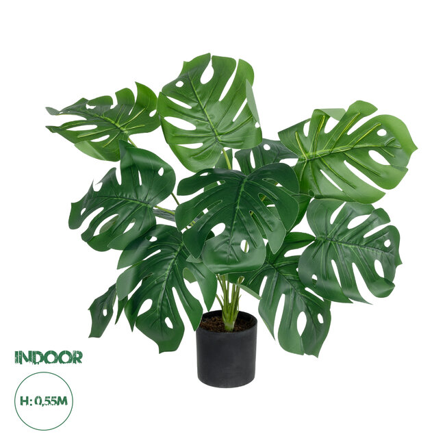 Artificial Garden MONSTERA 20934 Διακοσμητικό Φυτό Μονστέρα Υ55cm Artificial Garden MONSTERA 20934 Διακοσμητικό Φυτό Μονστέρα Υ55cm